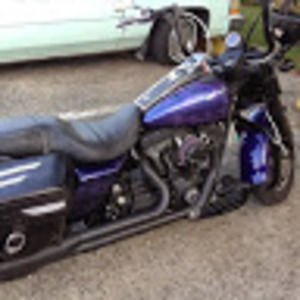 Meet your Posher, Louis